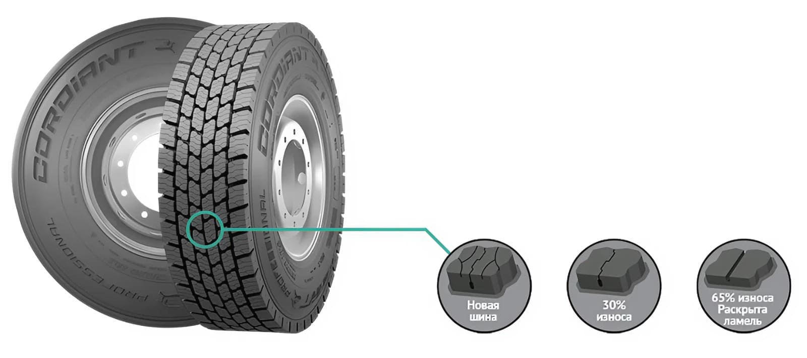 Cordiant Professional DR-2